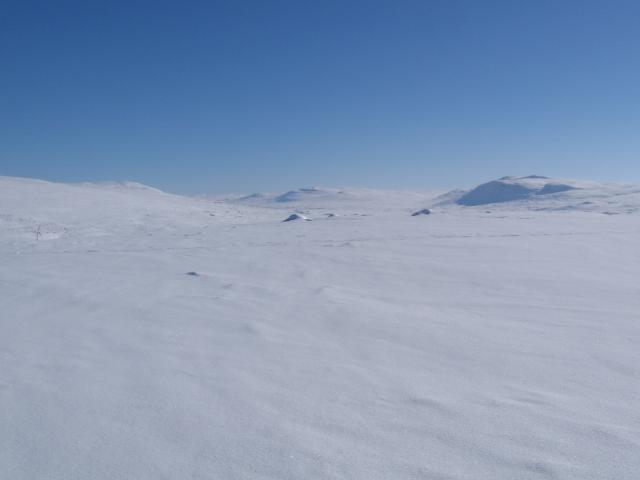 hardangervidda_winter_2006 007.jpg.jpg